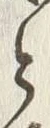 文字敷