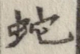 位置 確認된 蛇