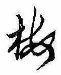 已定位梅