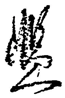 Đã định vị 濫