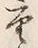 Chữ 重