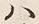 字斗