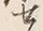 𡨸居