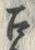 Character 召