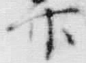 文字下