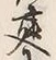 𡨸掘