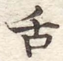 已定位舌