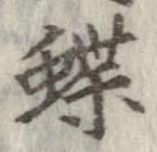 位置定マレル蝶