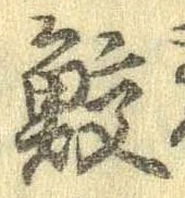 位置 確認된 鮫