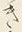 文字き