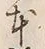 「本」字