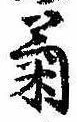 已定位菊