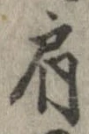 已定位肩