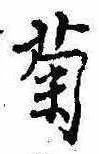 已定位菊