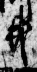 已定位井