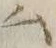 「汲」字