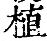 “植”字