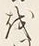 「問」字
