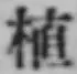 文字 植