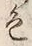 文字 色