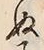 “ぬ”字