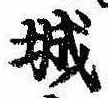 已定位城
