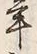 文字 年