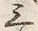 Chữ 三