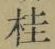 글자 桂
