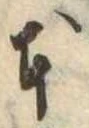 已定位本