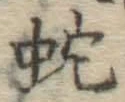 字蛇