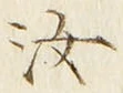 字汝
