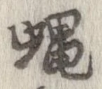 Đã định vị 蝿