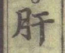 文字肝