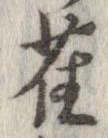 已定位雀