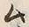 文字ム