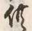 Character 供