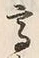 “高”字