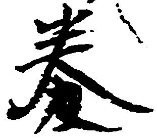 券の位置