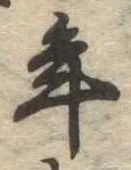 位置 確認된 年