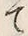 Character 土