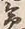 文字急