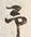 字予