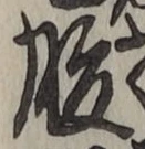 字腹