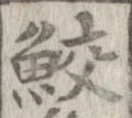 位置 確認된 鮫