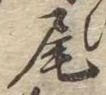 Located 尾