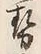 「勢」字