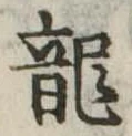 已定位龍