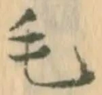 字毛