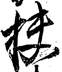 位置定マレル扶